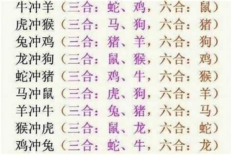 12生肖三合|《易经》十二生肖三合、六合解析！